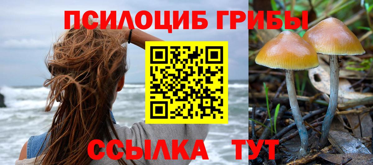 Псилоцибиновые грибы ЛСД  Галлюциногенные грибы Cubensis  Архангельск  Вход с VPN 