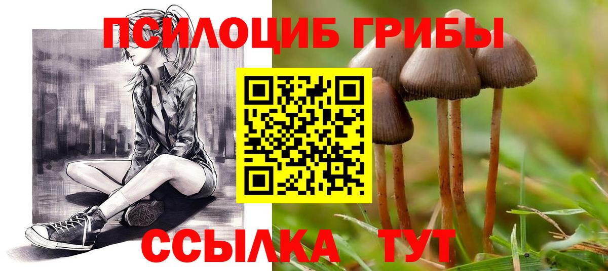 Галлюциногенные грибы ЛСД Архангельск